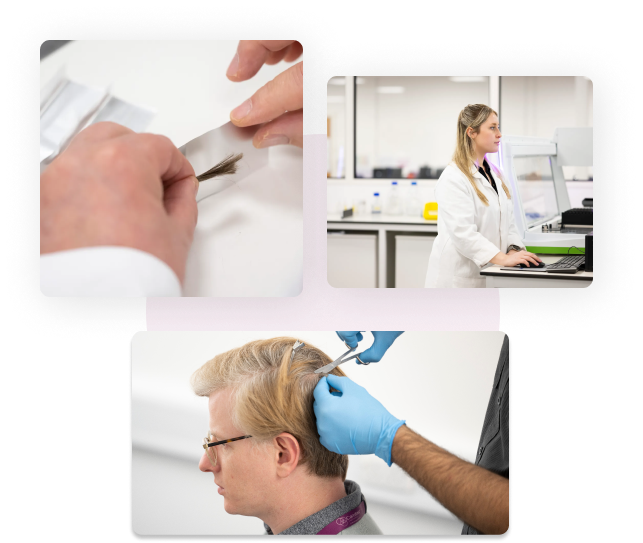 Image 1: One of Cansford's lab technicians is processing a sample and checking its progress. Image 2. A lab technician is looking at results of testing in the lab. 3. A collector is taking a shoelace sized sample of hair from the back of the head, which will be not noticeable to others.