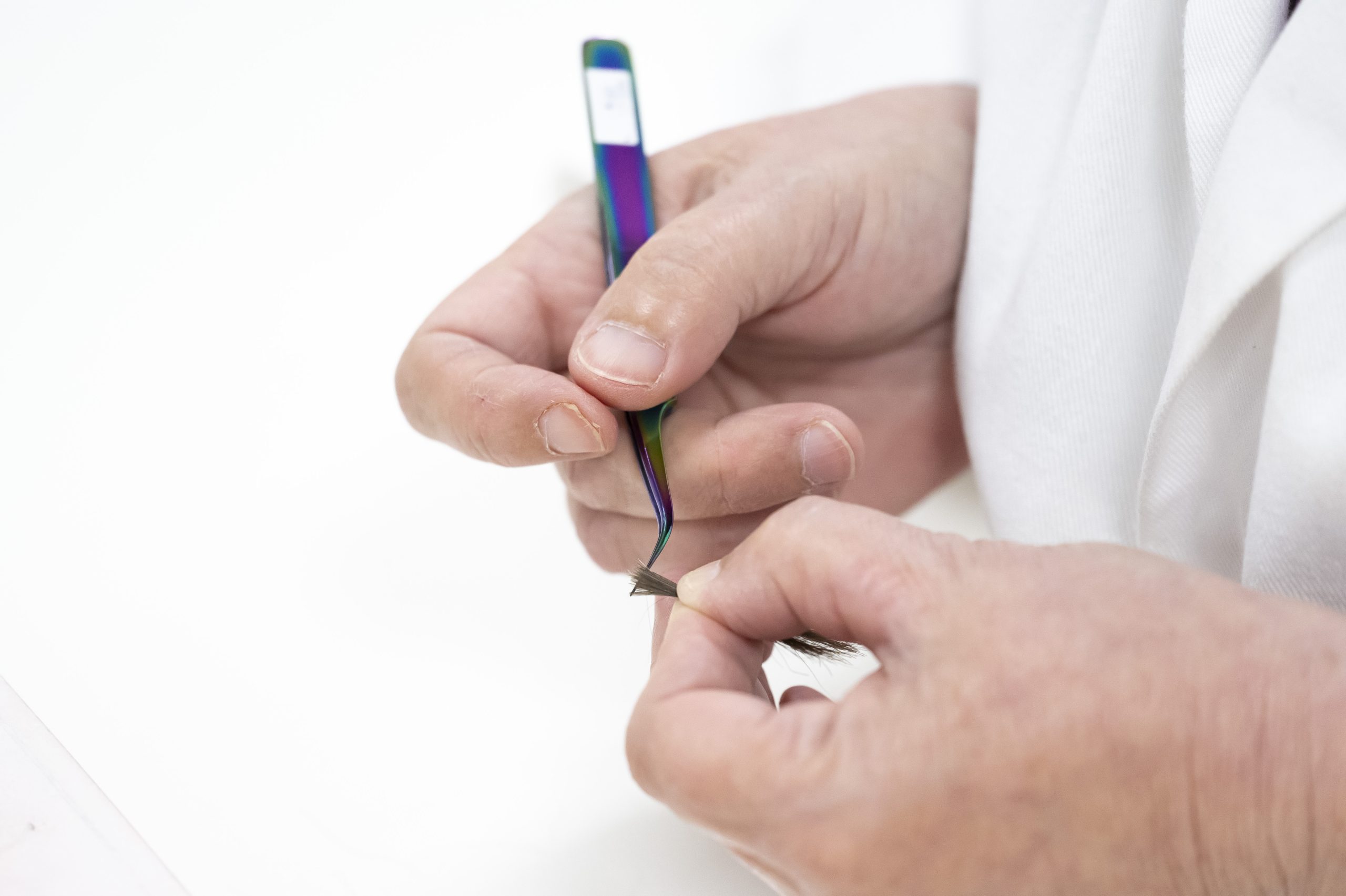 A Cansford scientist is using tweezers to separate a stand of hair ready for drug testing