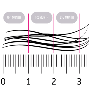 Hair segmentation by month
